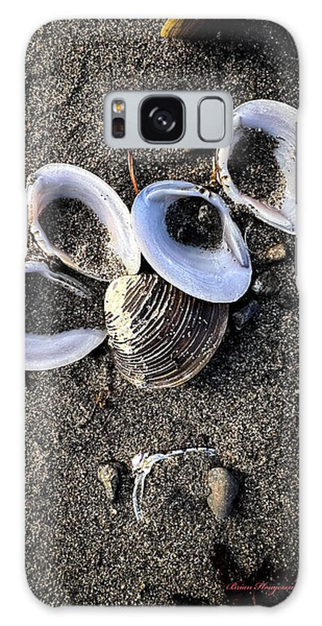 Seashells 6 - Phone Case