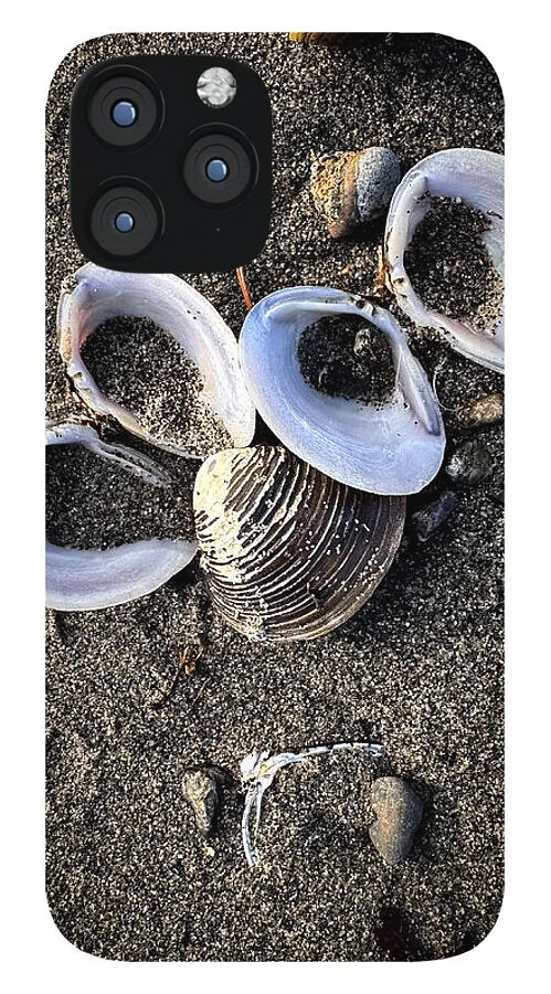 Seashells 6 - Phone Case