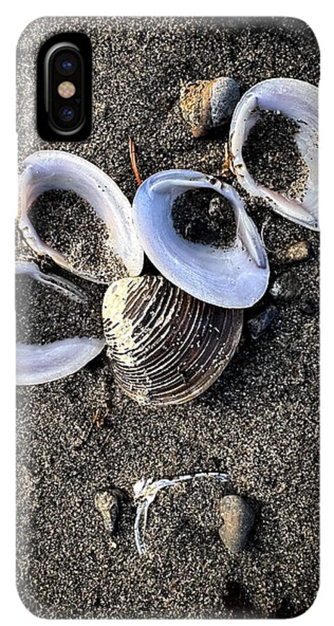 Seashells 6 - Phone Case