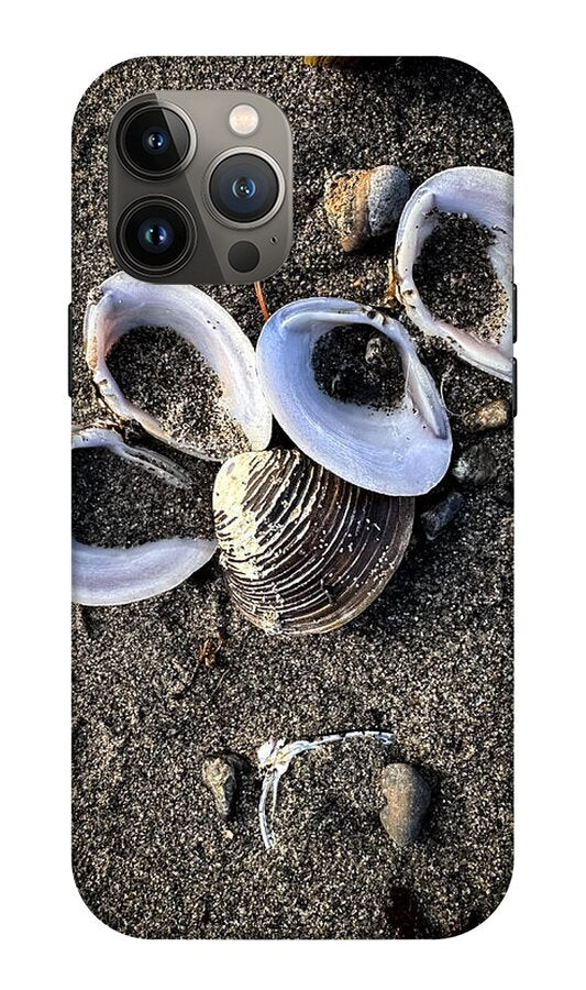Seashells 6 - Phone Case