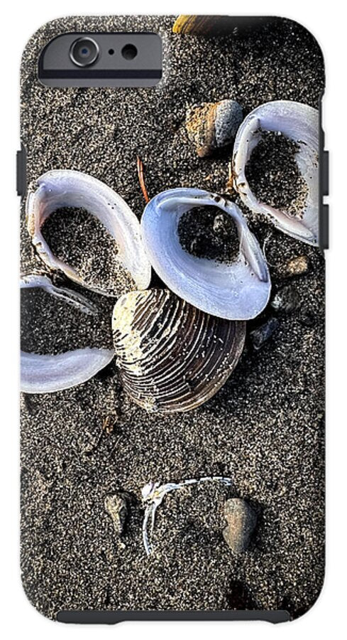 Seashells 6 - Phone Case