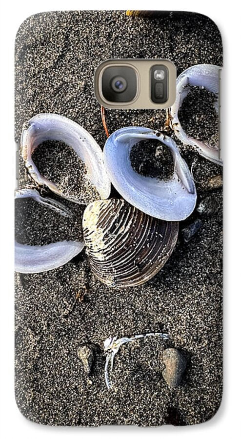 Seashells 6 - Phone Case