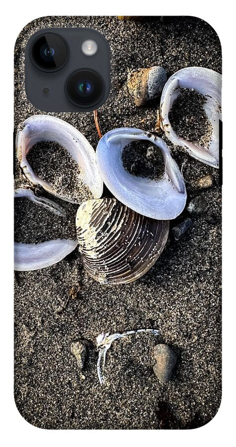 Seashells 6 - Phone Case