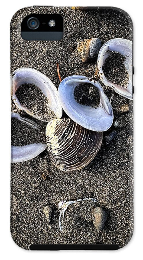 Seashells 6 - Phone Case