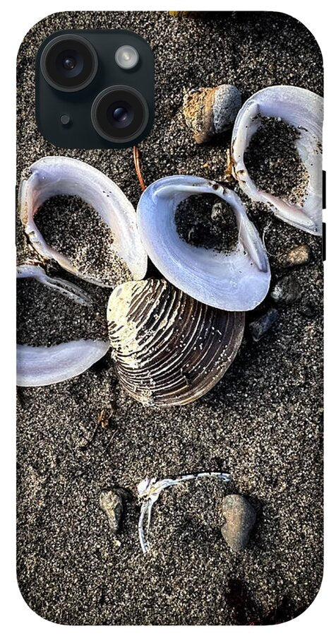 Seashells 6 - Phone Case