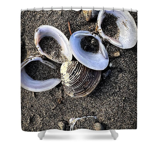 Seashells 6 - Shower Curtain