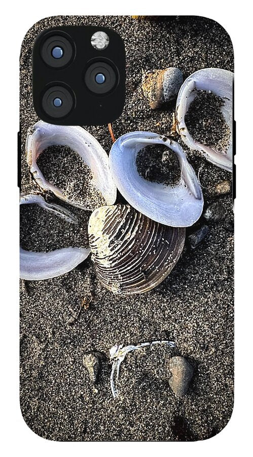Seashells 6 - Phone Case