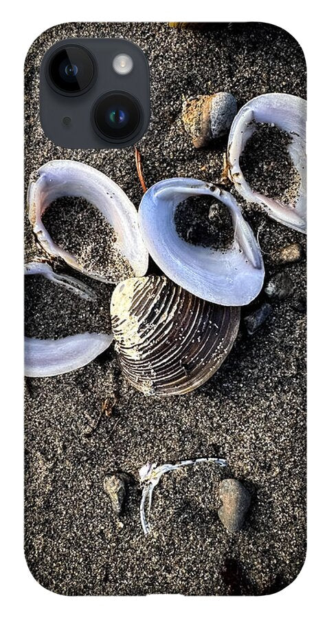 Seashells 6 - Phone Case