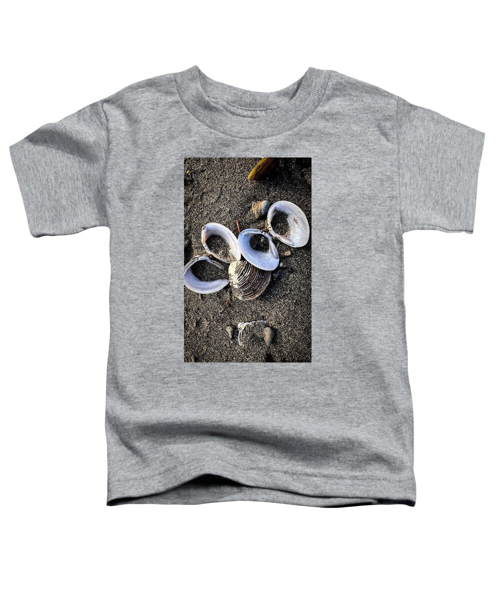 Seashells 6 - Toddler T-Shirt