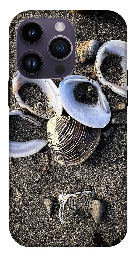 Seashells 6 - Phone Case