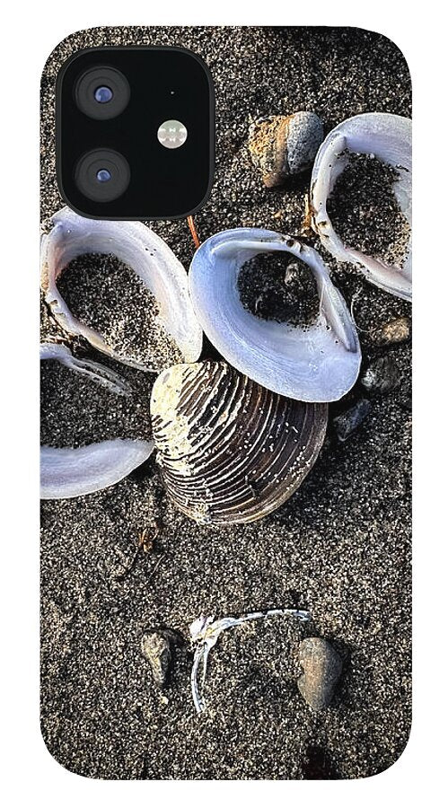 Seashells 6 - Phone Case