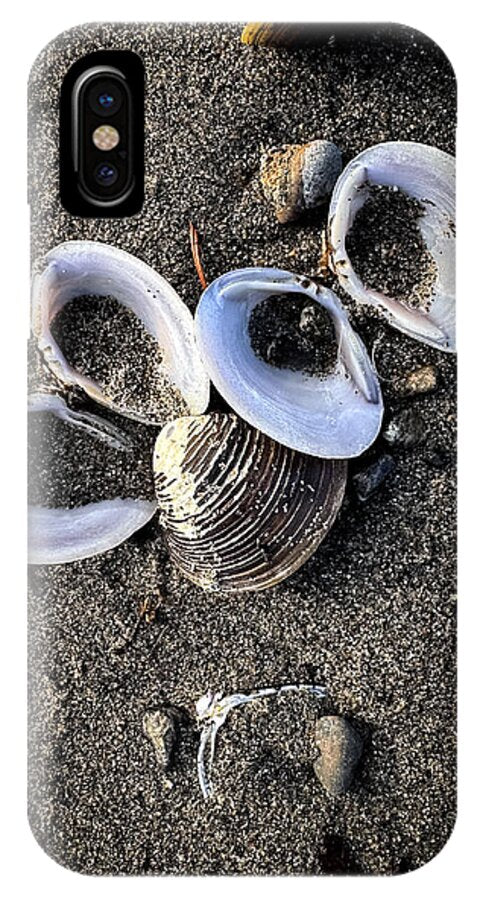 Seashells 6 - Phone Case