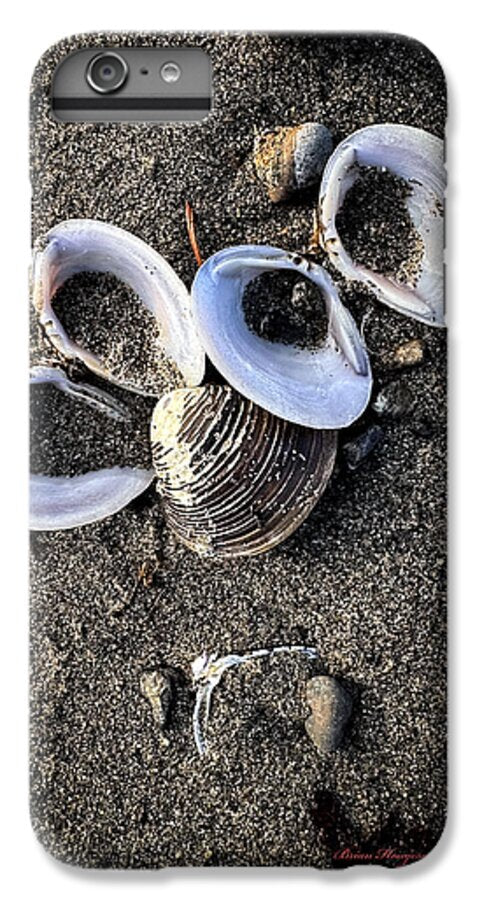 Seashells 6 - Phone Case