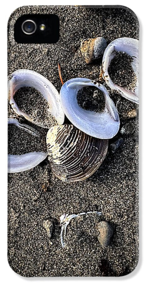 Seashells 6 - Phone Case