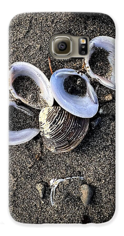 Seashells 6 - Phone Case