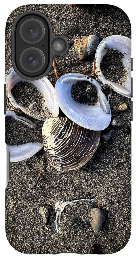 Seashells 6 - Phone Case