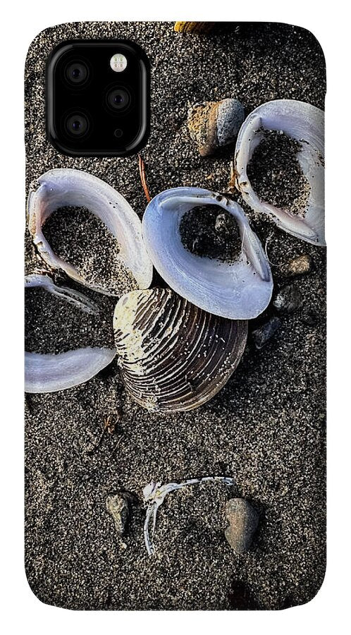 Seashells 6 - Phone Case