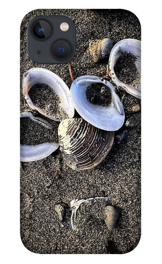 Seashells 6 - Phone Case