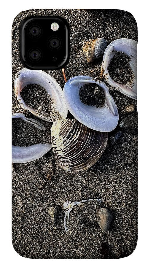 Seashells 6 - Phone Case