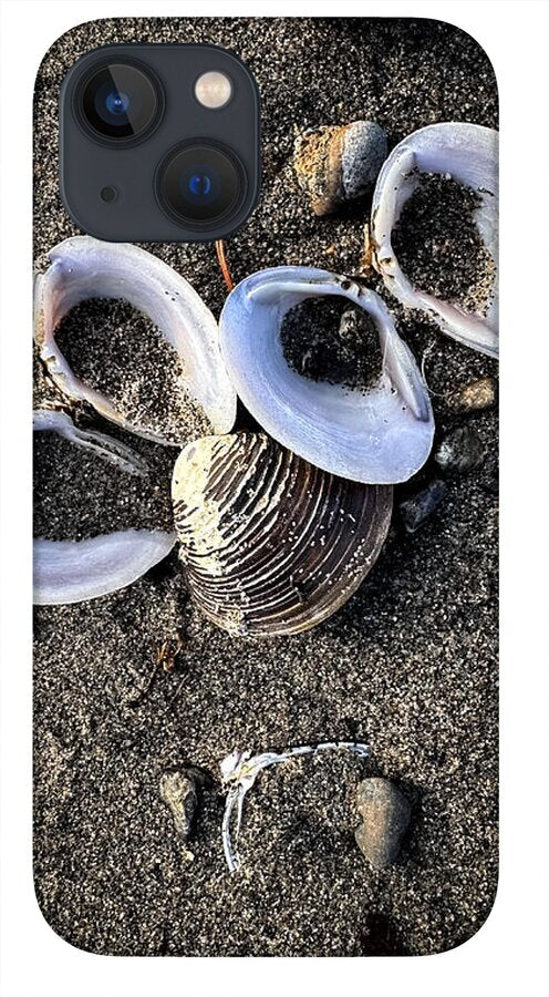 Seashells 6 - Phone Case