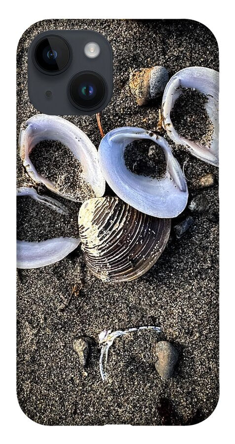 Seashells 6 - Phone Case
