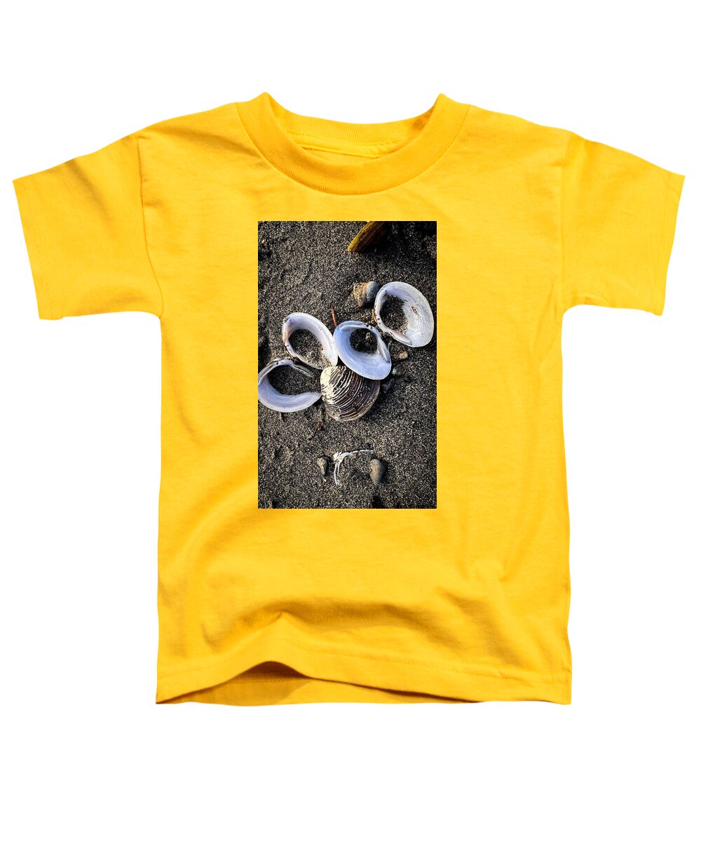 Seashells 6 - Toddler T-Shirt