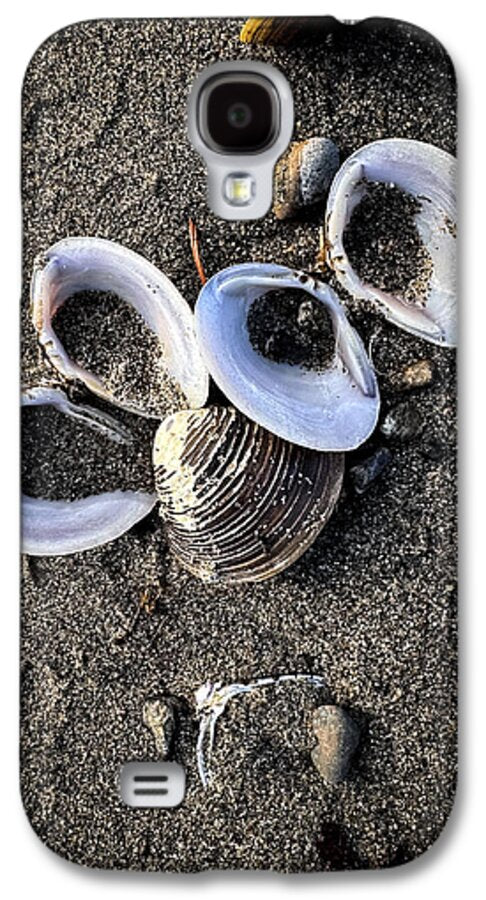 Seashells 6 - Phone Case