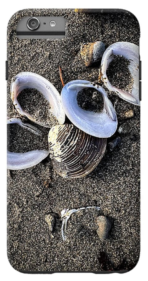 Seashells 6 - Phone Case