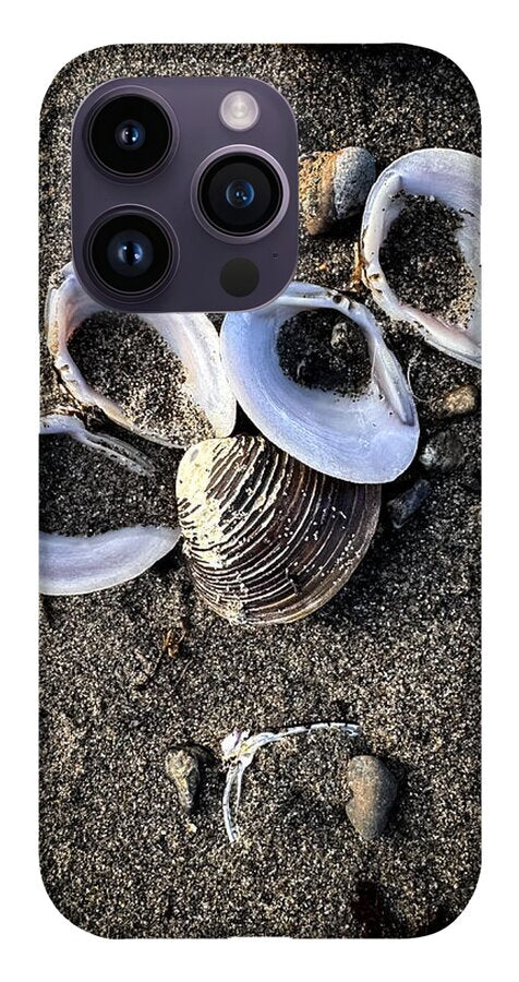 Seashells 6 - Phone Case