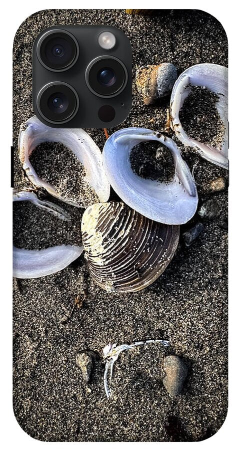 Seashells 6 - Phone Case