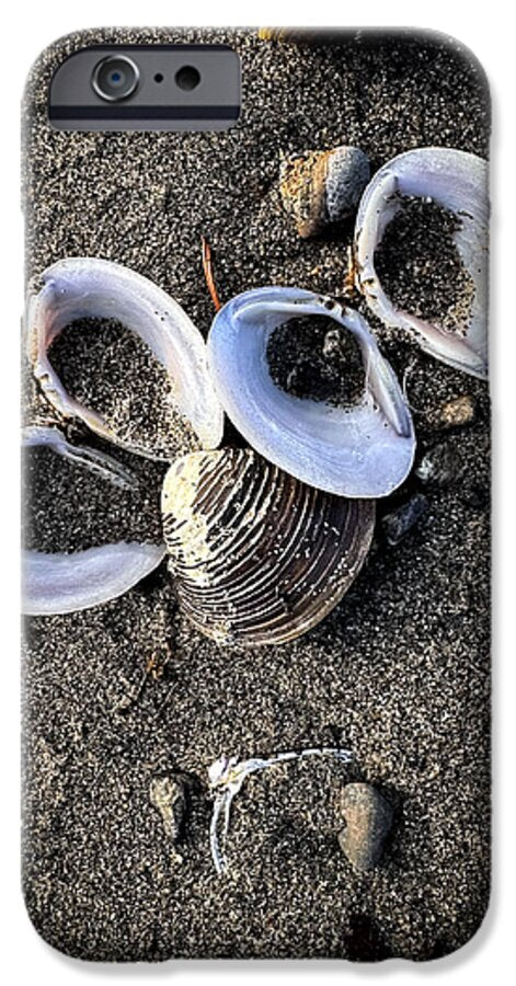 Seashells 6 - Phone Case