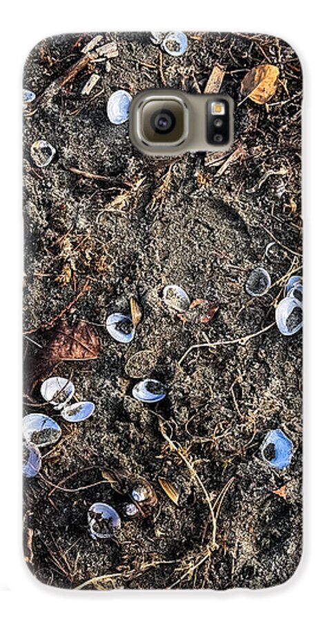 Seashells on the beach - Phone Case