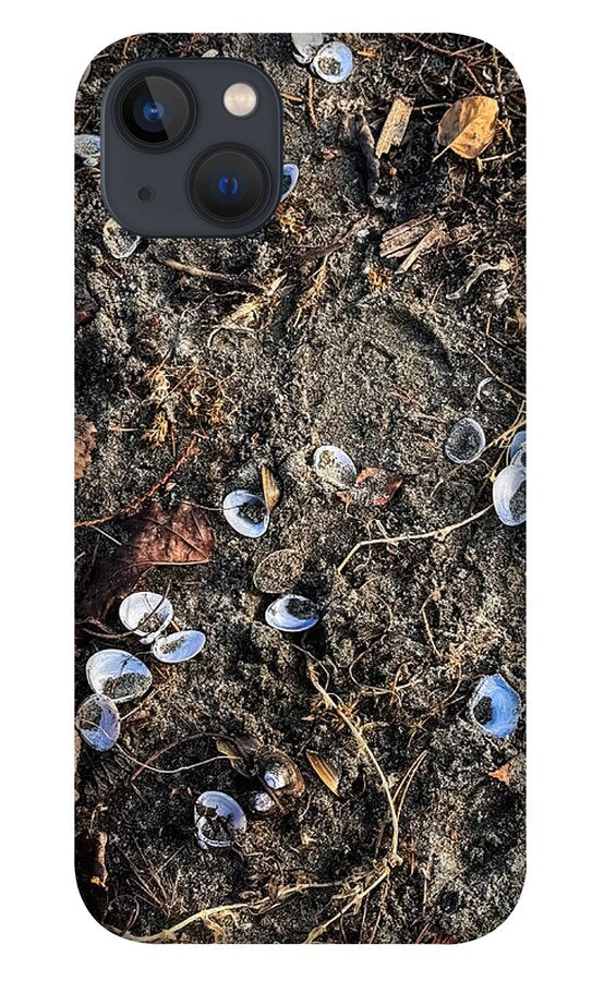 Seashells on the beach - Phone Case