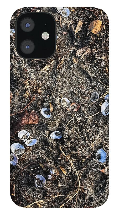 Seashells on the beach - Phone Case
