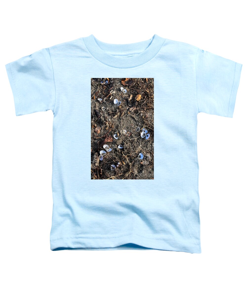 Seashells on the beach - Toddler T-Shirt