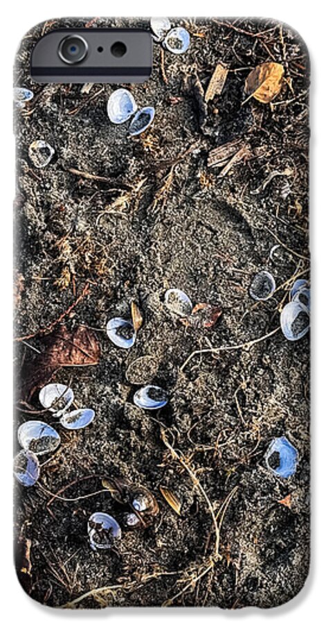 Seashells on the beach - Phone Case