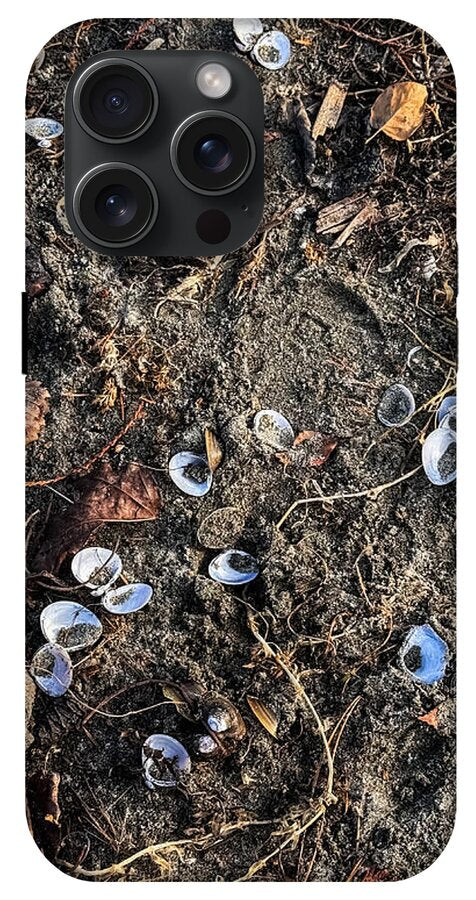 Seashells on the beach - Phone Case