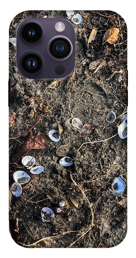 Seashells on the beach - Phone Case