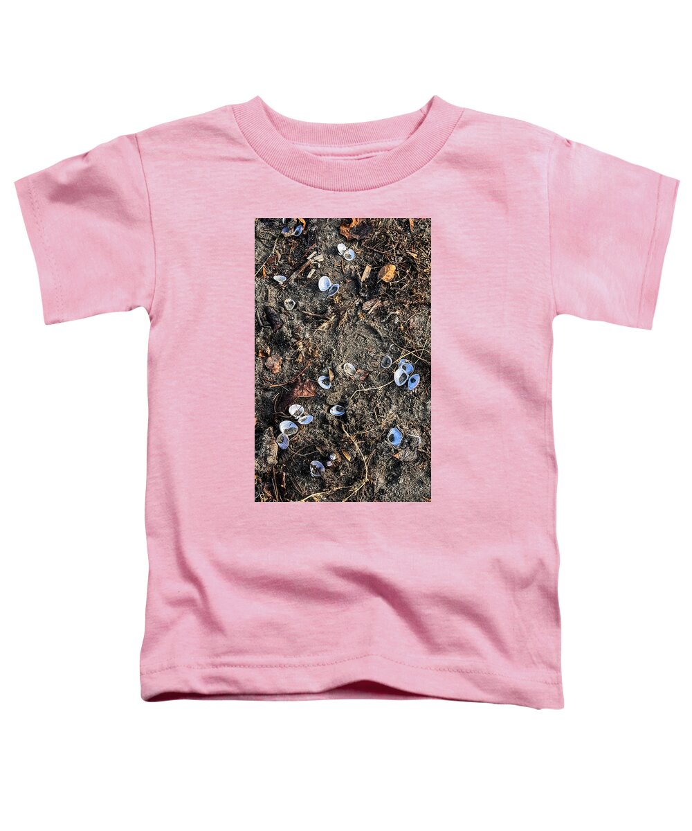 Seashells on the beach - Toddler T-Shirt