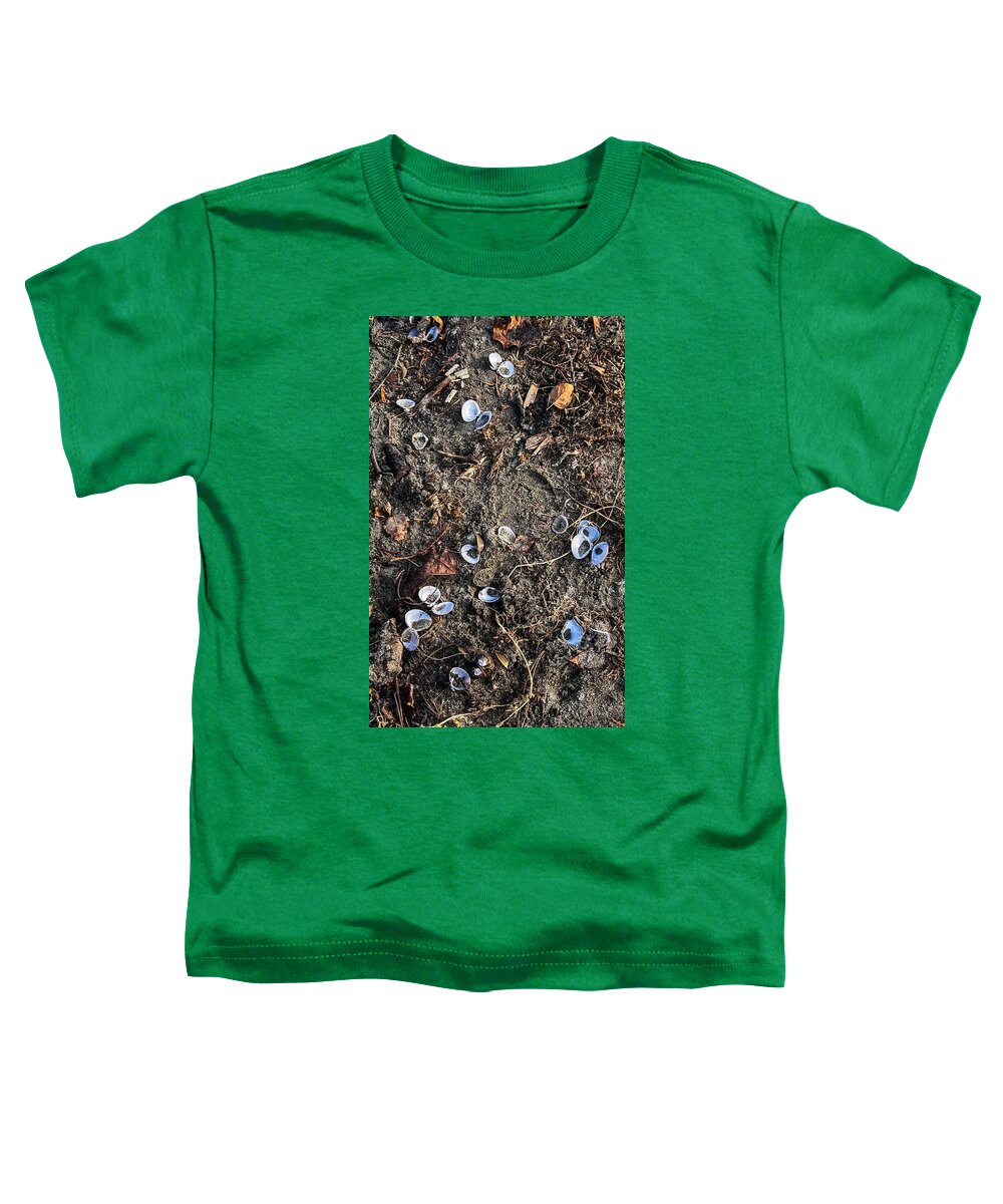 Seashells on the beach - Toddler T-Shirt