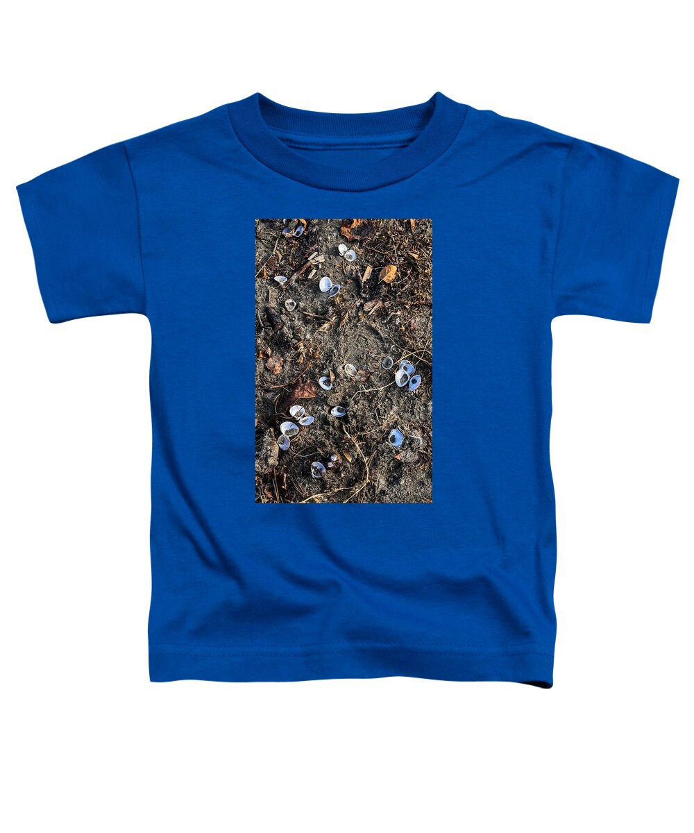 Seashells on the beach - Toddler T-Shirt