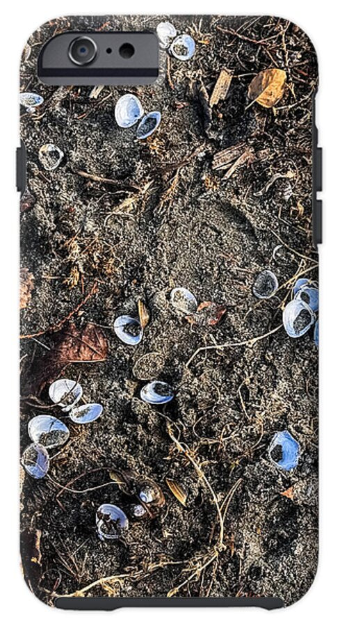 Seashells on the beach - Phone Case