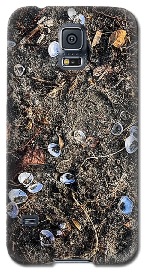 Seashells on the beach - Phone Case