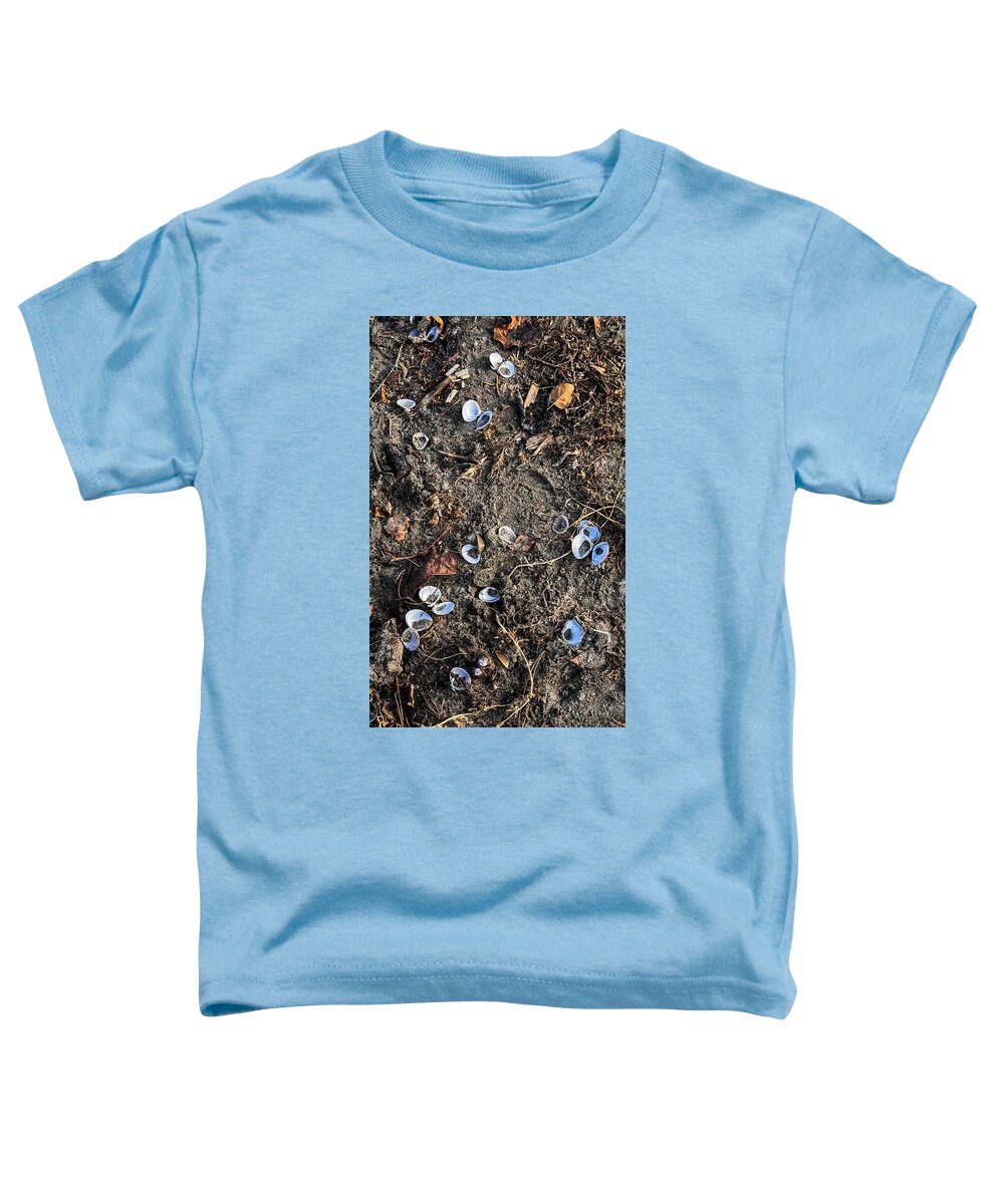 Seashells on the beach - Toddler T-Shirt