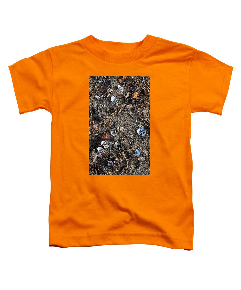 Seashells on the beach - Toddler T-Shirt