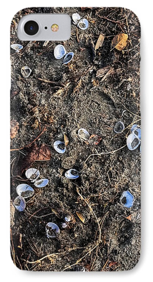Seashells on the beach - Phone Case