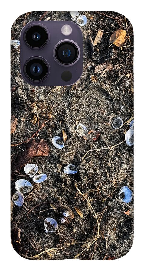 Seashells on the beach - Phone Case
