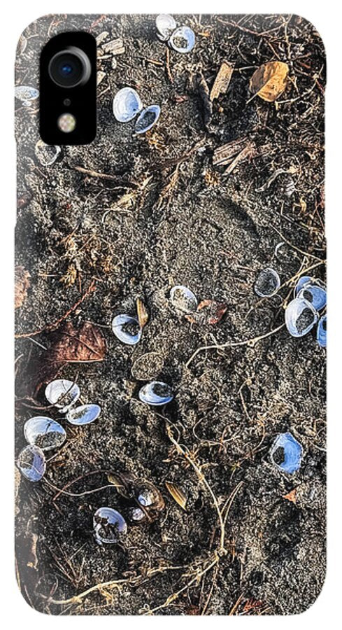Seashells on the beach - Phone Case