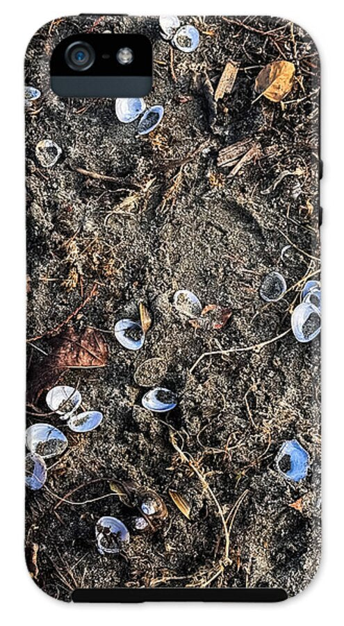 Seashells on the beach - Phone Case