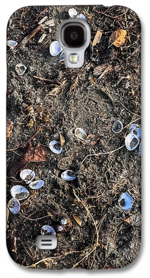Seashells on the beach - Phone Case